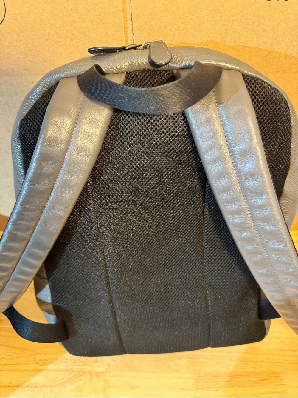 Coach Men's Gray Leather Backpack with Blue Stripe